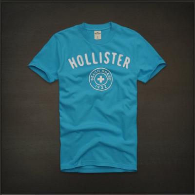 Cheap Hollister Men Shirts wholesale No. 401